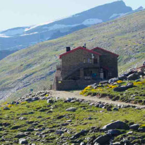 פרק 9 – הקורונה והטרקים – חלק 2 פרק 9 – הקורונה והטרקים – חלק 2