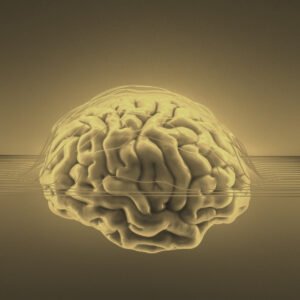 פרונטירז: המוח חושב בגדול!