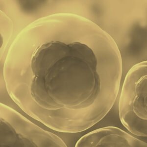 פרונטירז: קסם תאי הגזע