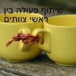 אבטיח כיס לניהול