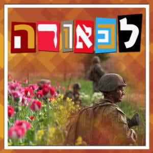 סוחרי סמים ונהנים