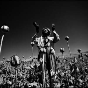 אופיום בחסות האל