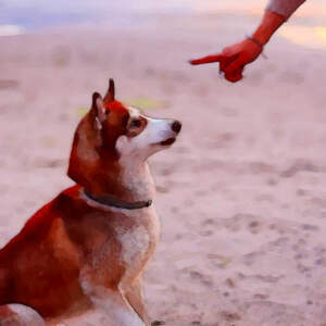 פרק 3 – על עונשים וחיזוקים, למידות והכללות פרק 3 – על עונשים וחיזוקים, למידות והכללות