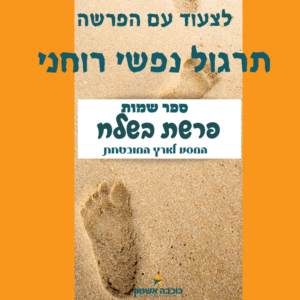 ?לצעוד עם פרשת בשלח מה הארץ המובטחת שאתם שואפים להגיע