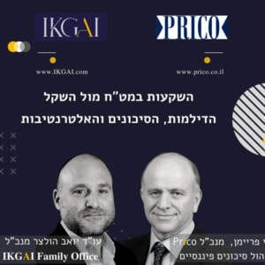 השקעות במט"ח מול השקל הדילמות, הסיכונים והאלטרנטיבות השקעות במט"ח מול השקל הדילמות, הסיכונים והאלטרנטיבות