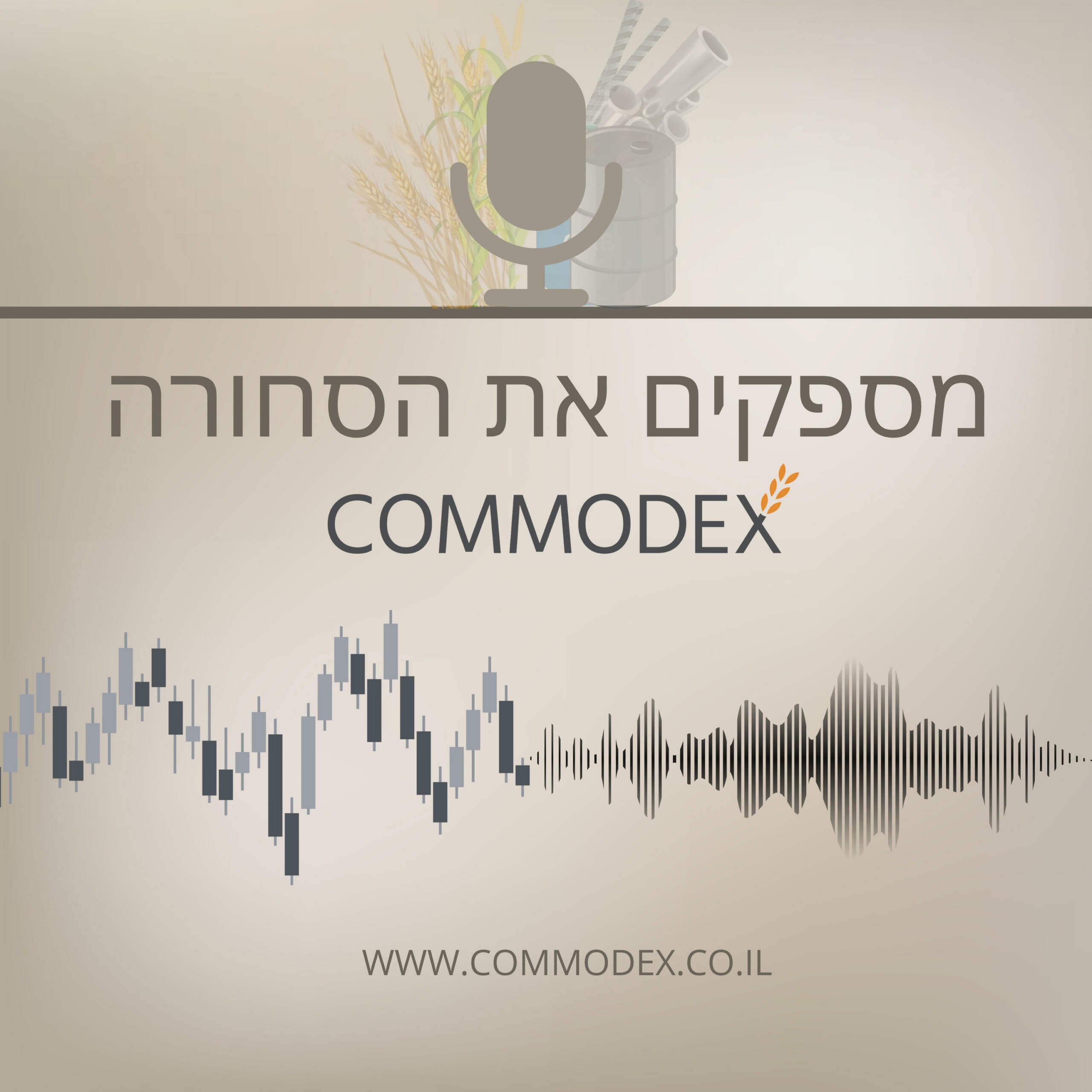 מספקים את הסחורה מספקים את הסחורה