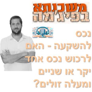 פרק מספר 15 – נכס להשקעה: האם לרכוש נכס אחד יקר או שניים ומעלה זולים?