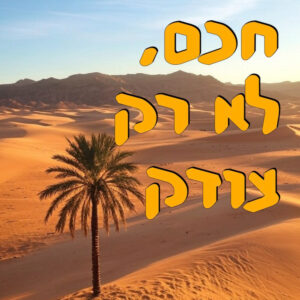 חכם, לא רק צודק | אלכס גרינברג | המזרח התיכון