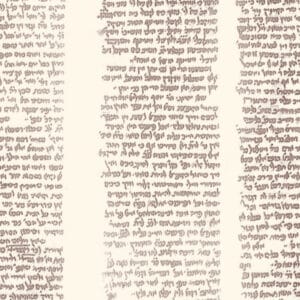 פרק 70 • בעלי התוספות