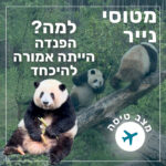 מטוסי נייר Paper Planes מטוסי נייר Paper Planes