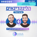 הלינקדינאים - מתרגמים לכם.ן את לינקדאין לעברית