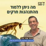 מה ניתן ללמוד מהתנהגות חרקים