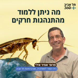 מה ניתן ללמוד מהתנהגות חרקים