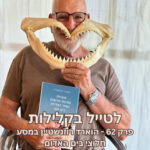 לטייל בקלילות לטייל בקלילות