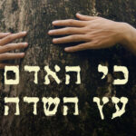 על איסור כריתת עצי המאכל - והזיקה למצב המלחמה והתודעה הדיס-הרמונית. מאמר מיוחד לחג האילנות טו׳ בשבט על איסור כריתת עצי המאכל - והזיקה למצב המלחמה והתודעה הדיס-הרמונית. מאמר מיוחד לחג האילנות טו׳ בשבט