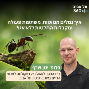 איך נמלים מנווטות, משתפות פעולה ומקבלות החלטות ללא אגו? פרופ' ינון שרף
